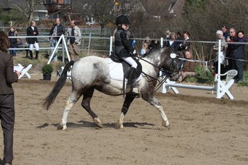 Bild 942 - WBO-Turnier am 9.4.11